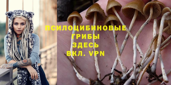 эйфоретик Лихославль