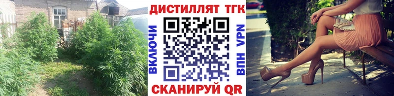 Купить  Могоча  Дистиллят ТГК THC oil 