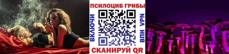 Псилоцибиновые грибы Psilocybine cubensis  Купить где  Могоча 