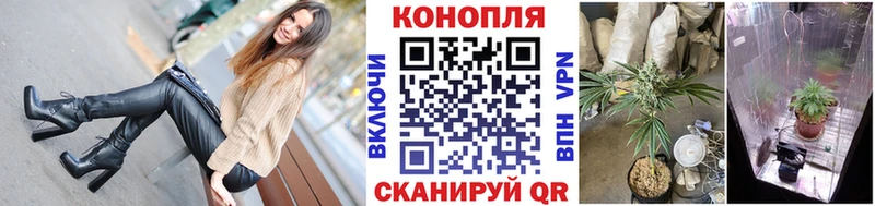 Купить  Могоча  Канабис марихуана 
